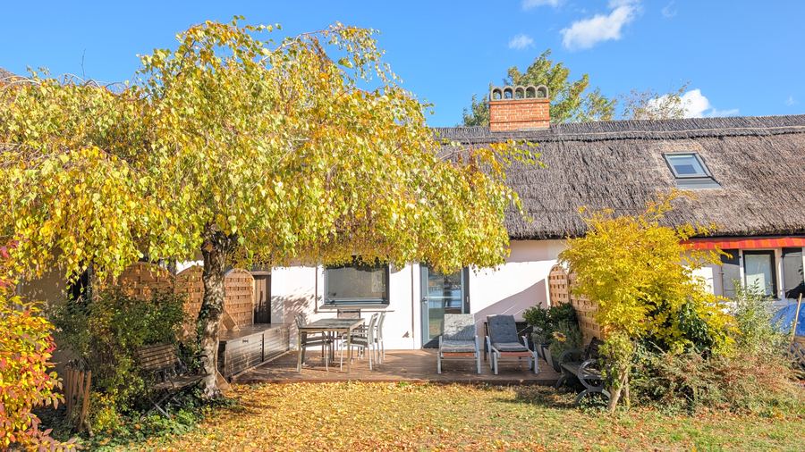 Terrasse und Hängebirke im Herbst